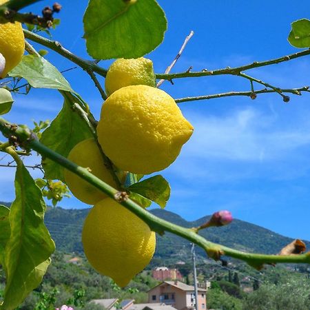Vila Casa Limoni Monterosso al Mare Exteriér fotografie