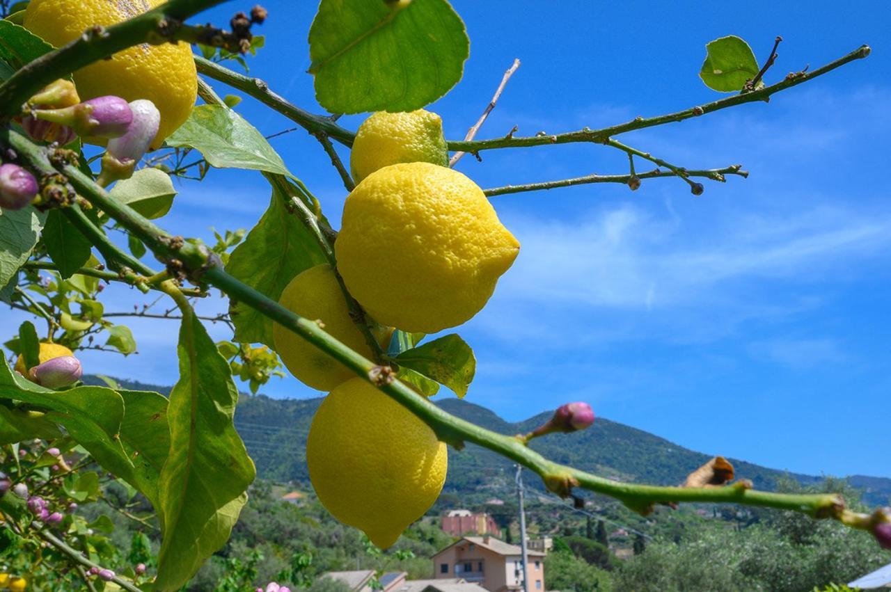 Vila Casa Limoni Monterosso al Mare Exteriér fotografie